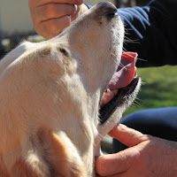 Un tocco, per parlare di 