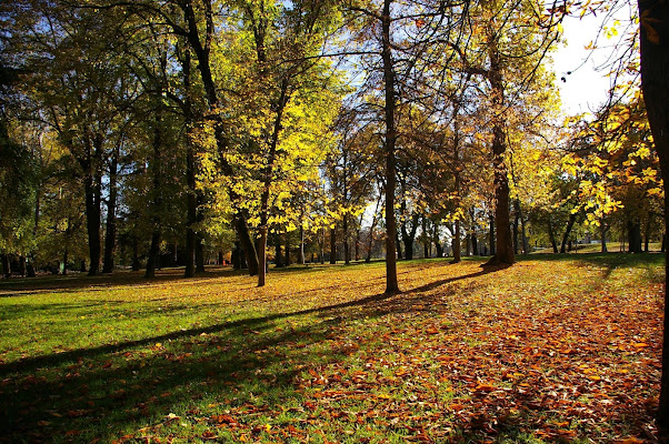 Autunno_Bolognese di @Virginia_Billè