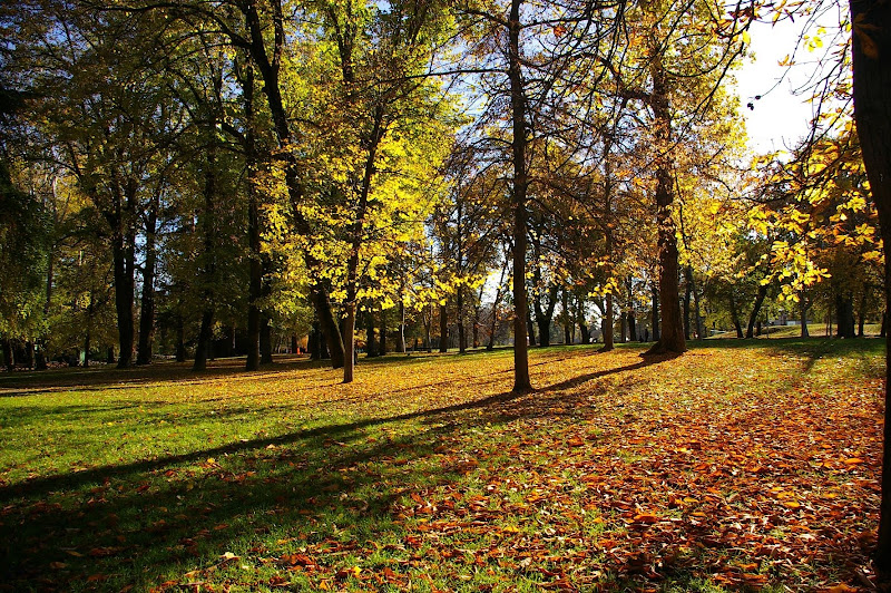 Autunno_Bolognese di @Virginia_Billè