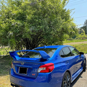 WRX STI VAB