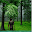 survival mortal Download on Windows