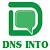 DNS Into