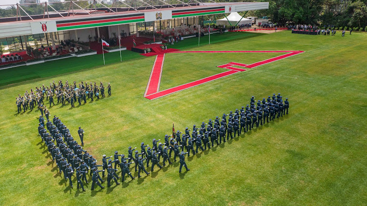 Aerial Kenya Airforce at a past event