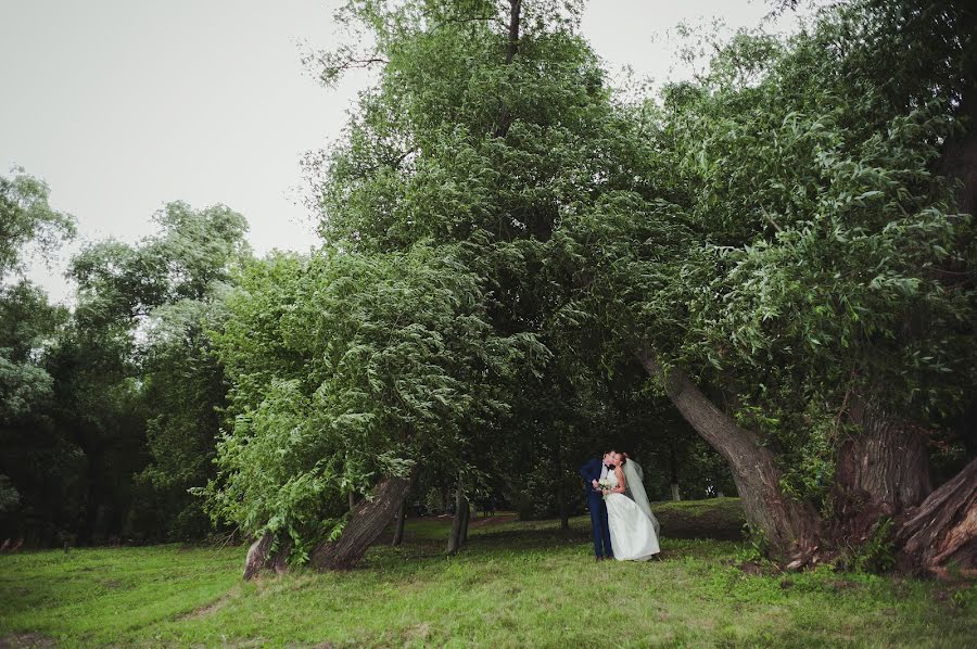 Fotógrafo de bodas Dmitriy Yakovlev (yakdm). Foto del 26 de febrero 2017