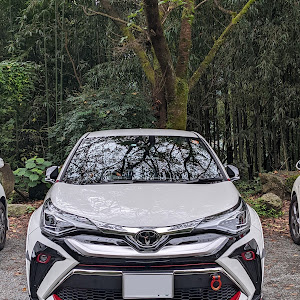 C-HR NGX10