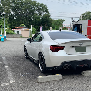 86 ZN6