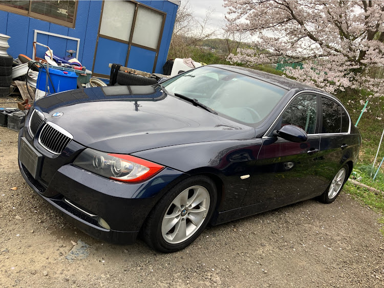 3シリーズ セダンのサクラと愛車・E90・323i・お別れは寂しいね・いままで本当にありがとうに関するカスタム事例の投稿画像6枚目