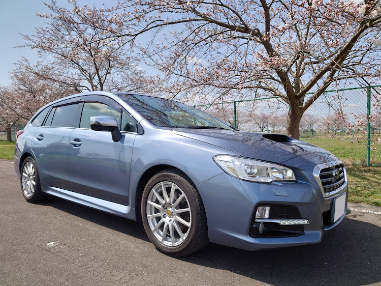レヴォーグの桜とコラボ・桜と愛車・桜・菜の花・菜の花と愛車に関するカスタム事例の投稿画像7枚目