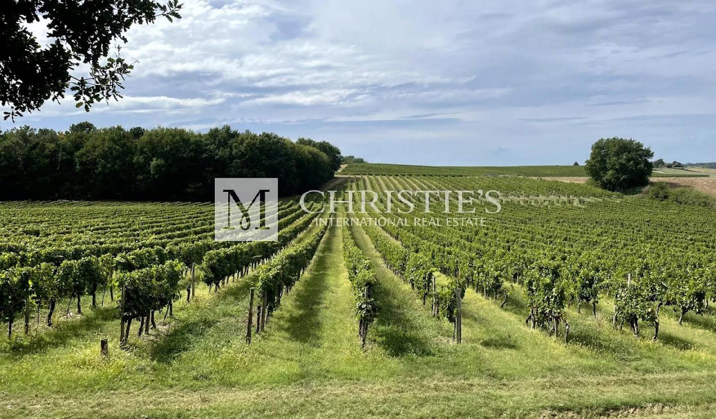 Vineyard Duras