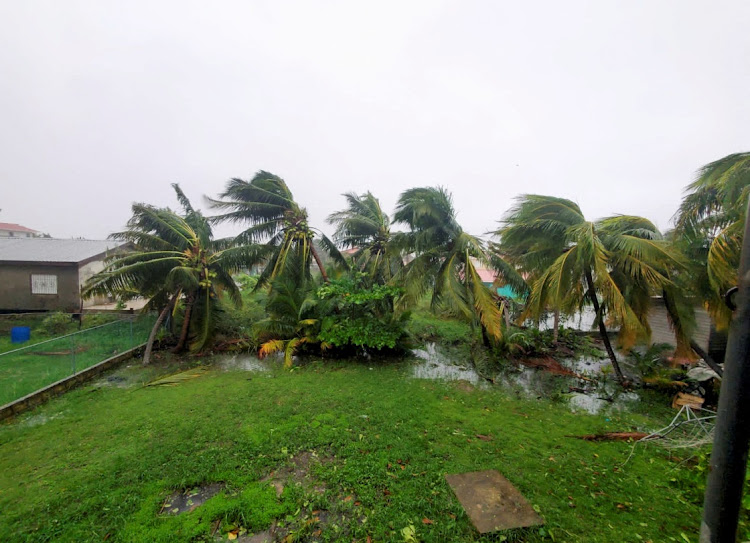 Damaged palm trees sit after Hurricane Lisa bore down on Belize City on Wednesday, the US National Hurricane Center (NHC) reported in a bulletin, predicting it will later move across the jungles of northern Guatemala and southeastern Mexico, in west Landivar suburb, Belize City, Belize November 2, 2022.