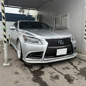 LS UVF45