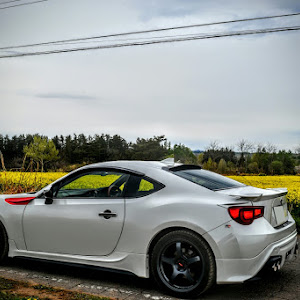 86 ZN6
