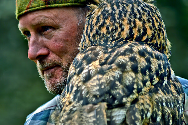 FALCO E FALCONIERE di Drinaalina 