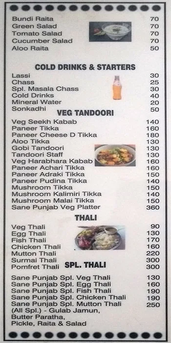 Hotel Sane Punjab Veg Non Veg Family Restaurant menu 