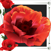 Poppy Photo Collage  Icon