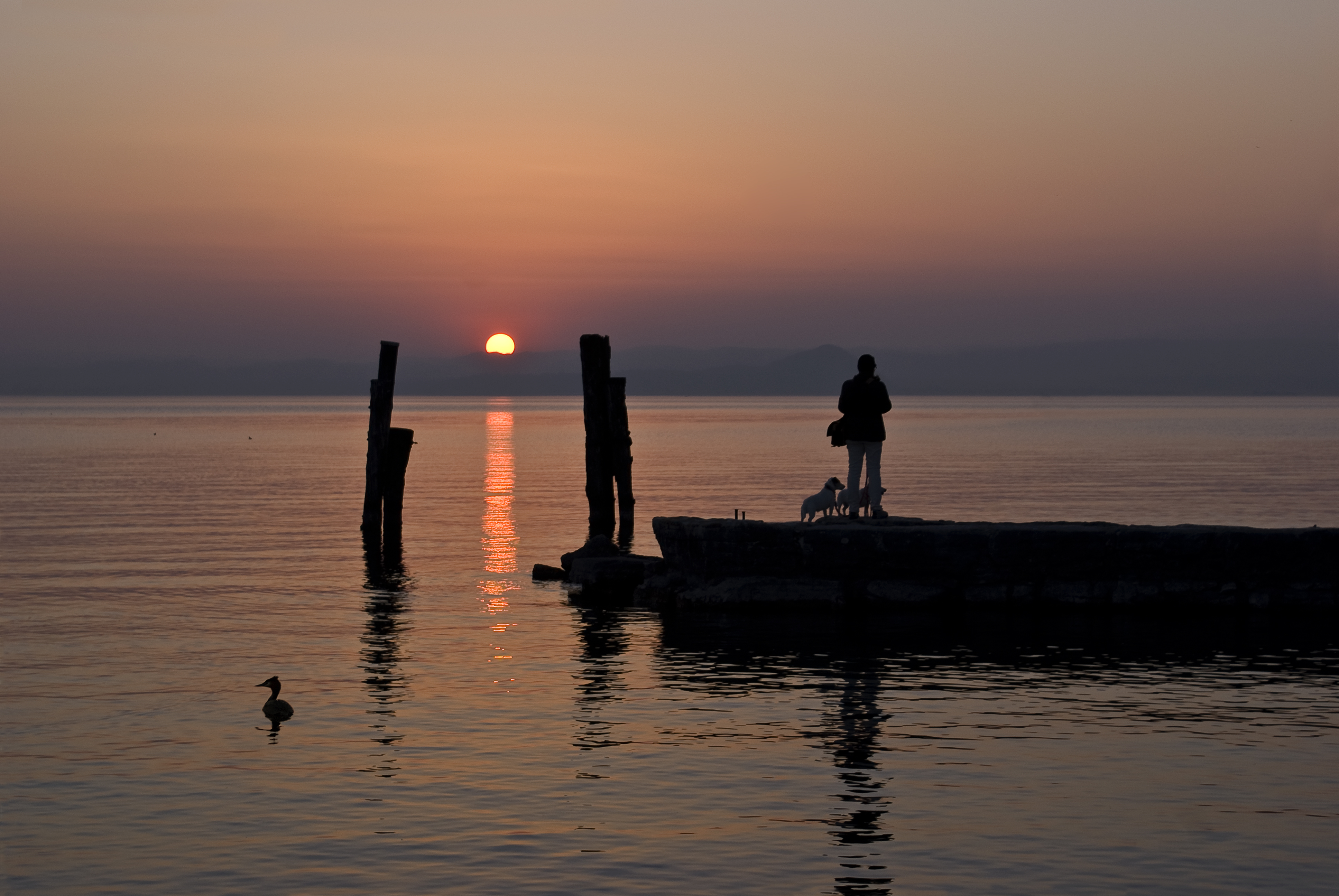 Passeggiata al pontile di Amadeus