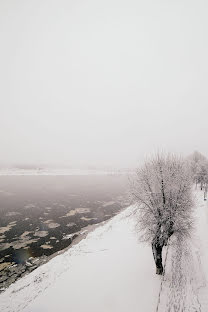 Wedding photographer Sergey Sarachuk (sarachuk). Photo of 14 December 2016