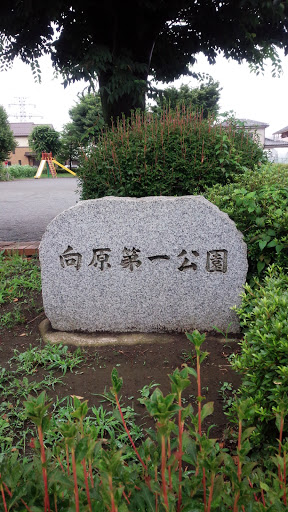 向原第一公園 東口