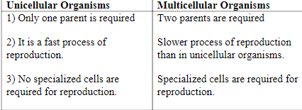 Solution Image