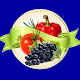 Download Fruits And Vegetables For PC Windows and Mac 1.1