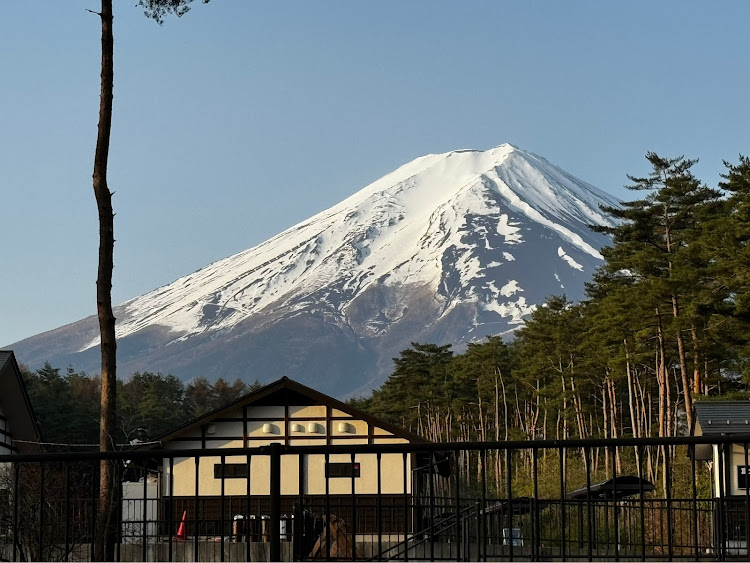 の投稿画像3枚目