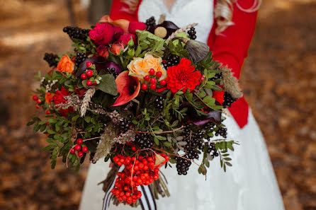 Photographe de mariage Viktoriya Petrenko (vi4i). Photo du 18 mai 2015