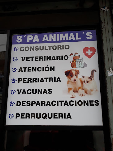 Opiniones de S'pa Animal's en Quito - Veterinario