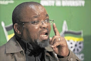 CRITICISED: 
       ANC secretary-general Gwede Mantashe
      
      . 
      PHOTO: HALDEN KROG