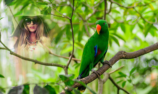Birds Photo Frame(圖7)-速報App