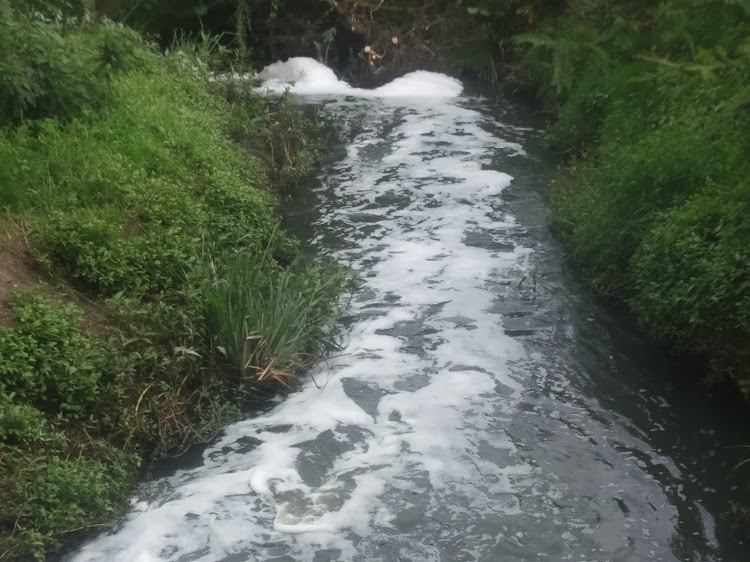 A section of the highly polluted Komo River (Sewerage River) in Komo Thika East. Raw sewerage flows freely in the river and foam from the dark water can be seen.