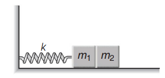 Spring-mass system