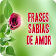 Frases Sabias de Amor icon