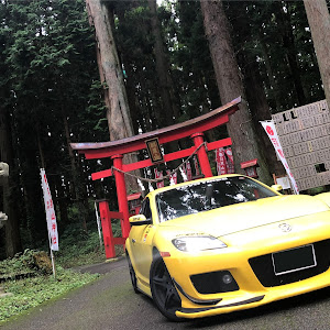 RX-8 SE3P