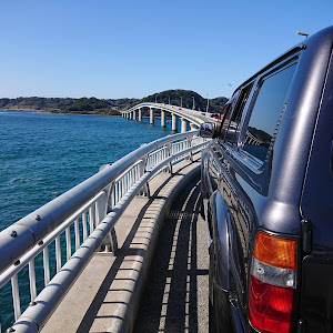 ランドクルーザー80 HDJ81V