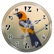 Troupial Clock Live Wallpaper 1.2 Icon