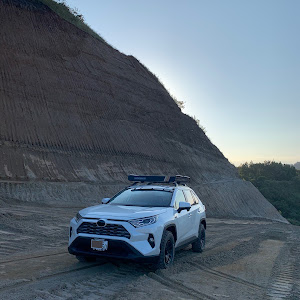 RAV4 AXAH54