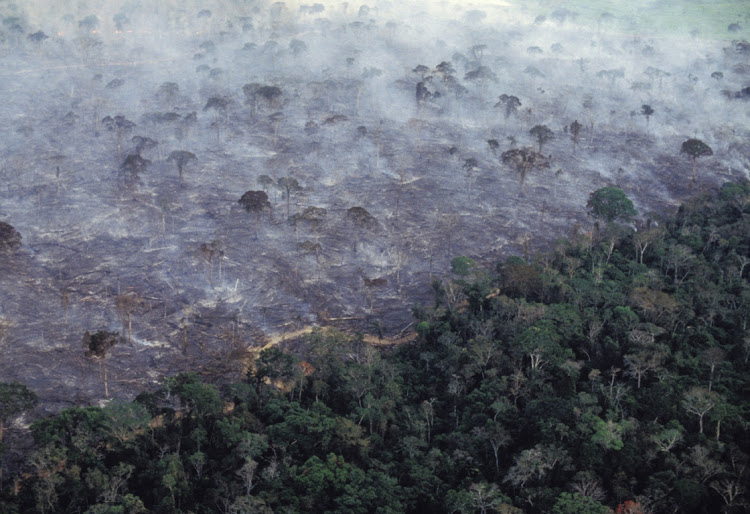 An aerial view of the Amazon rainforest burning. File photo: BRAZIL PHOTOS/LIGHTROCKET via GETTY IMAGES/RICARDO FUNARI