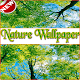 Download Nature Wallpaper HD For PC Windows and Mac 1.0