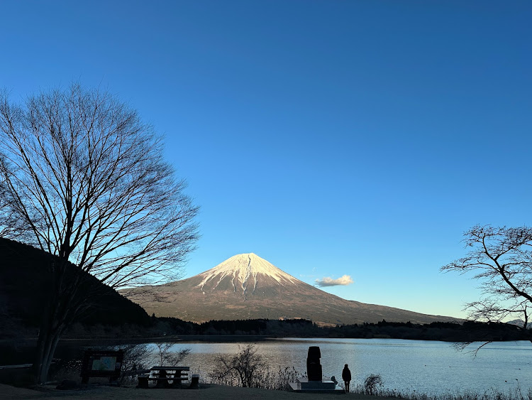 の投稿画像2枚目