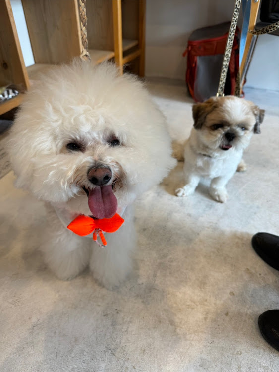 ザ・ビートル のしんや🐶ガブオート🐶さんが投稿したカスタム事例の投稿画像11枚目