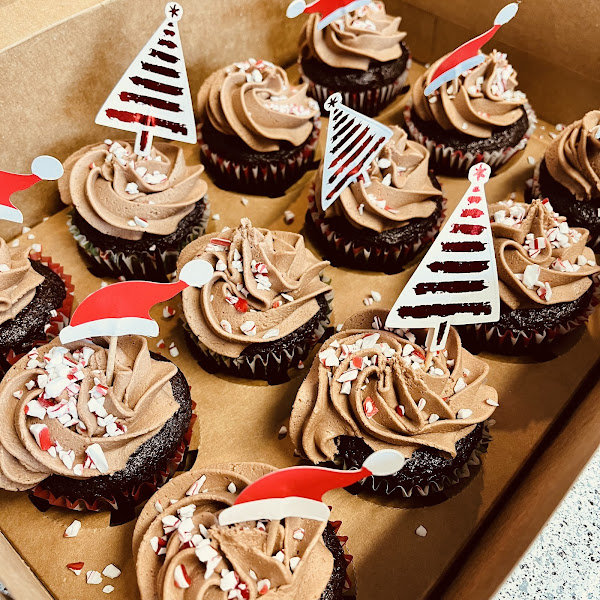 Chocolate cupcakes with chocolate "buttercream" frosting. Everything is gluten/dairy/soy free.