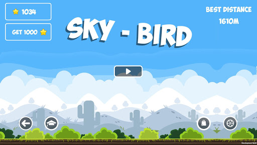 Sky Bird