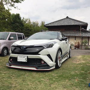 C-HR ZYX10