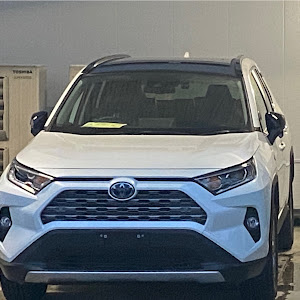 RAV4 MXAA54