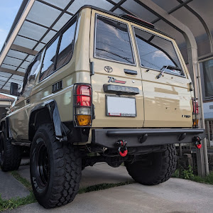 ランドクルーザープラド KZJ71W