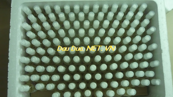 TINH DẦU DỪA - RICH COCO VÀ HOẠT ĐỘNG GIAO HÀNG THÁNG 5/2015 TINH DẦU DỪA - RICH COCO VÀ HOẠT ĐỘNG GIAO HÀNG THÁNG 5/2015