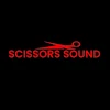 Scissor Sound Hair And Beauty Salon