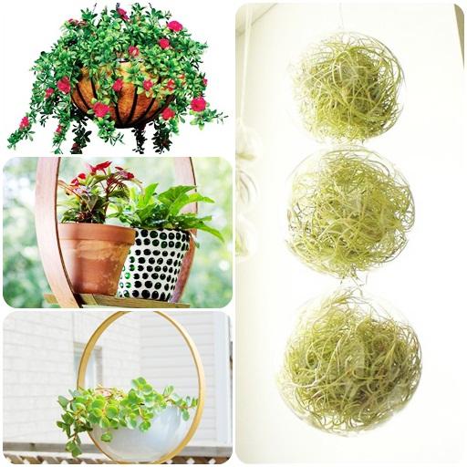 DIY Hanging Planter Ideas