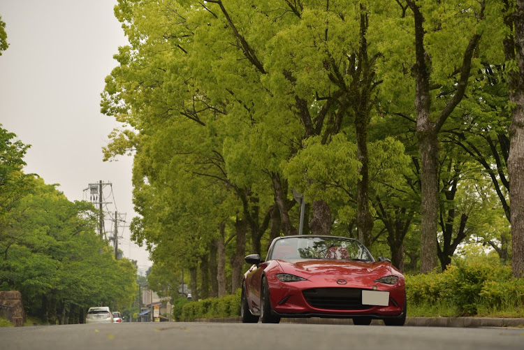 ロードスターのいつもイイねやコメントありがとうございます(*´▽`人)♡・新緑と愛車に関するカスタム事例の投稿画像6枚目