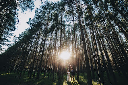 Fotografo di matrimoni Aleksandr Sychev (alexandersychev). Foto del 8 novembre 2015